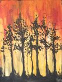The image for $29 Tuesday's! Forest Sunrise